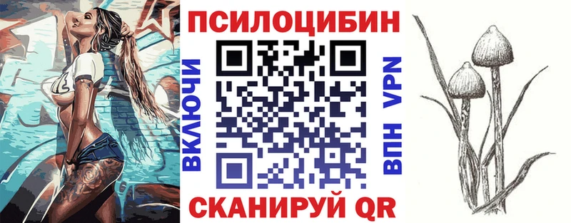 как найти   Терек  Галлюциногенные грибы MAGIC MUSHROOMS 