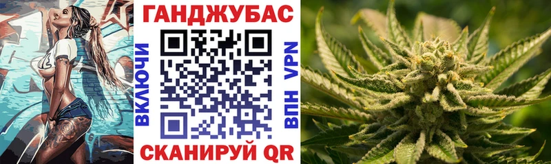 Канабис ГИДРОПОН  Терек 